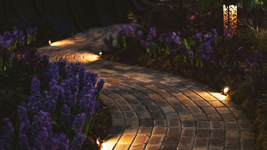 Cover illustration of outdoor solar garden lights glowing along a path at dusk