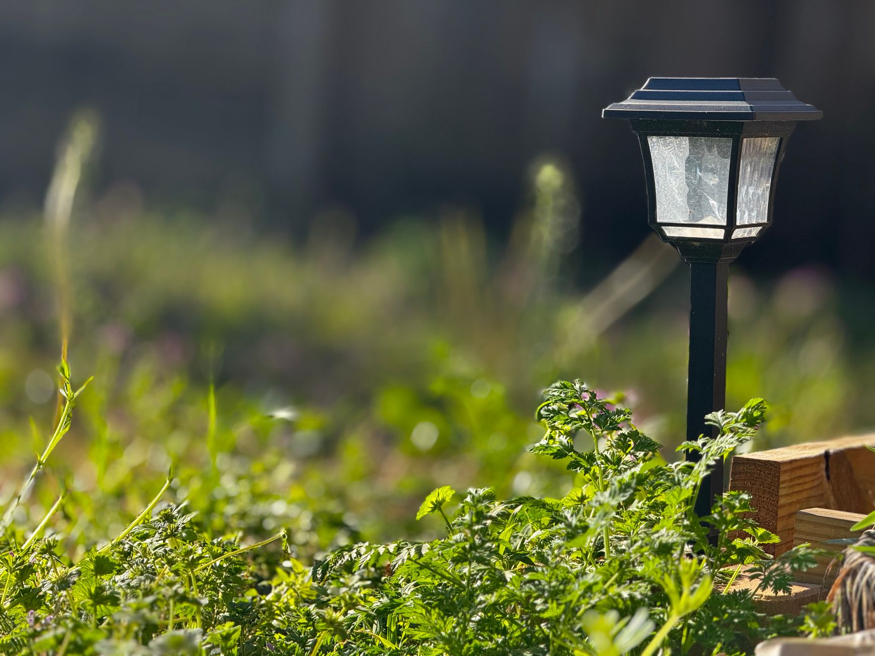 solar garden lights arranged along a stone path at dusk